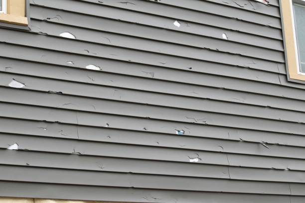 Best Dumpster Rental Services  in Camn, DE